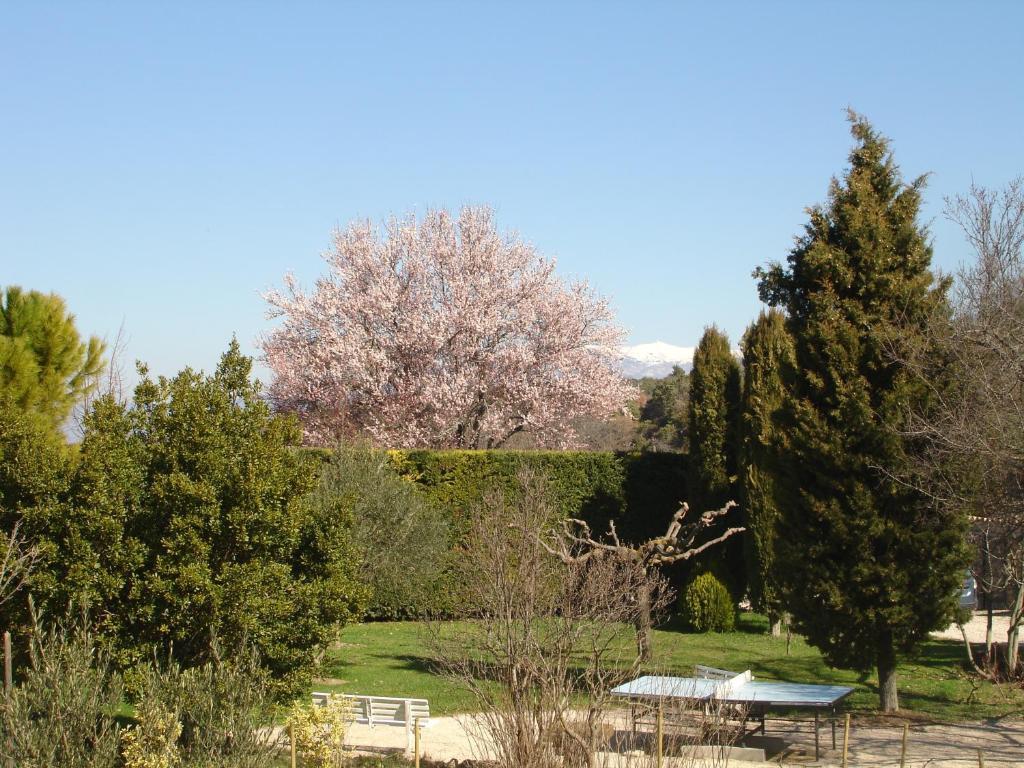 فندق Domaine De La Grange Neuve La Roque-sur-Pernes المظهر الخارجي الصورة
